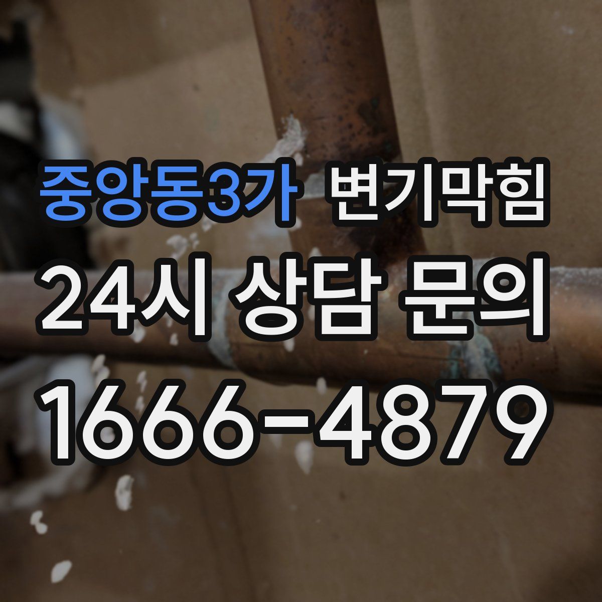 중앙동3가 변기막힘