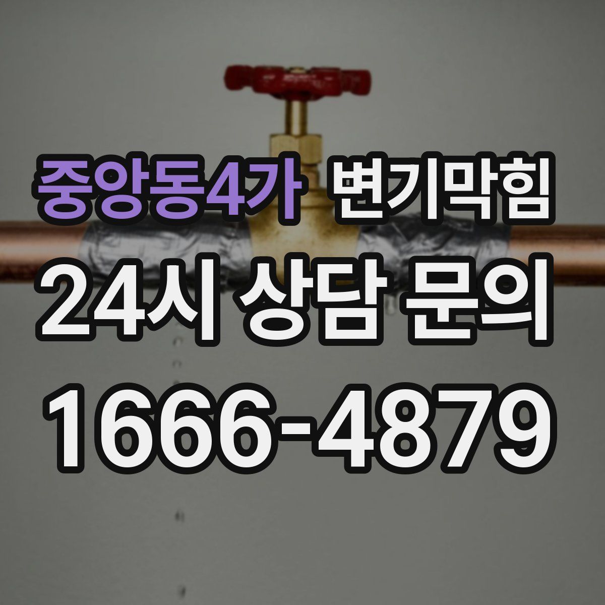 중앙동4가 변기막힘