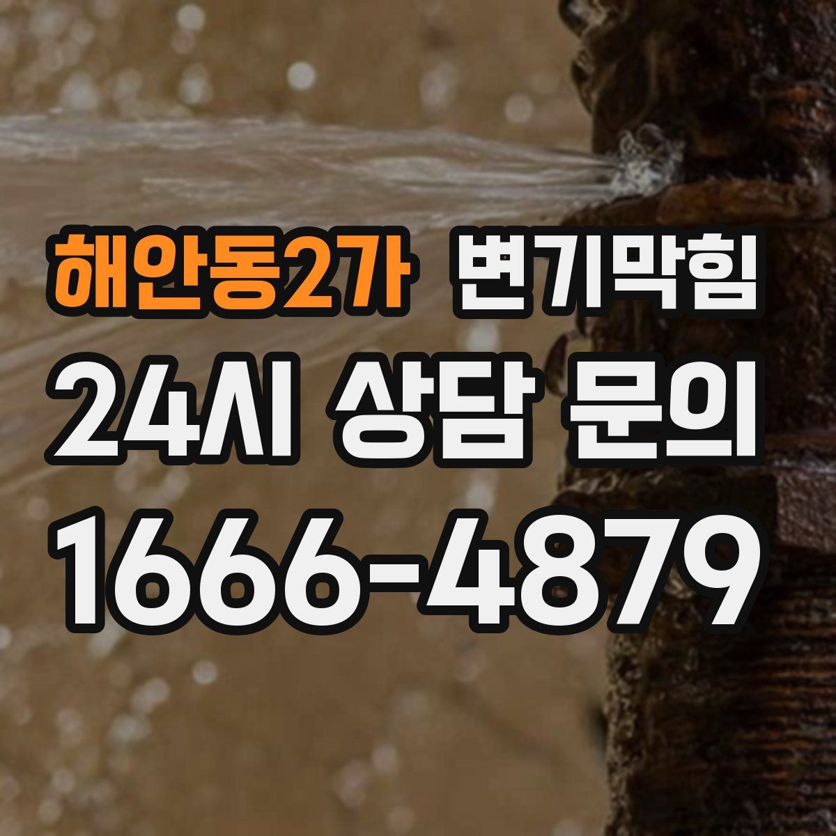 해안동2가 변기막힘