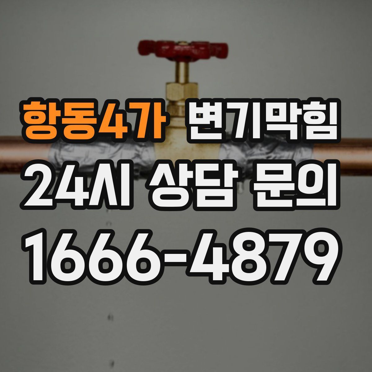 항동4가 변기막힘