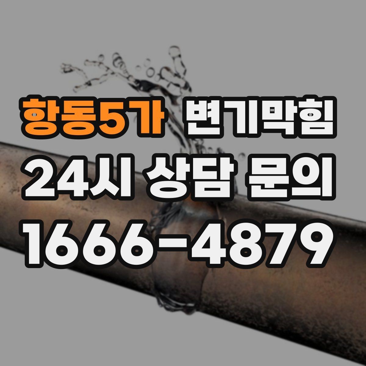 항동5가 변기막힘 빌라 배수구막힘 저층 역류 소거