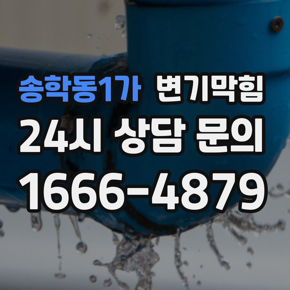 송학동1가 변기막힘