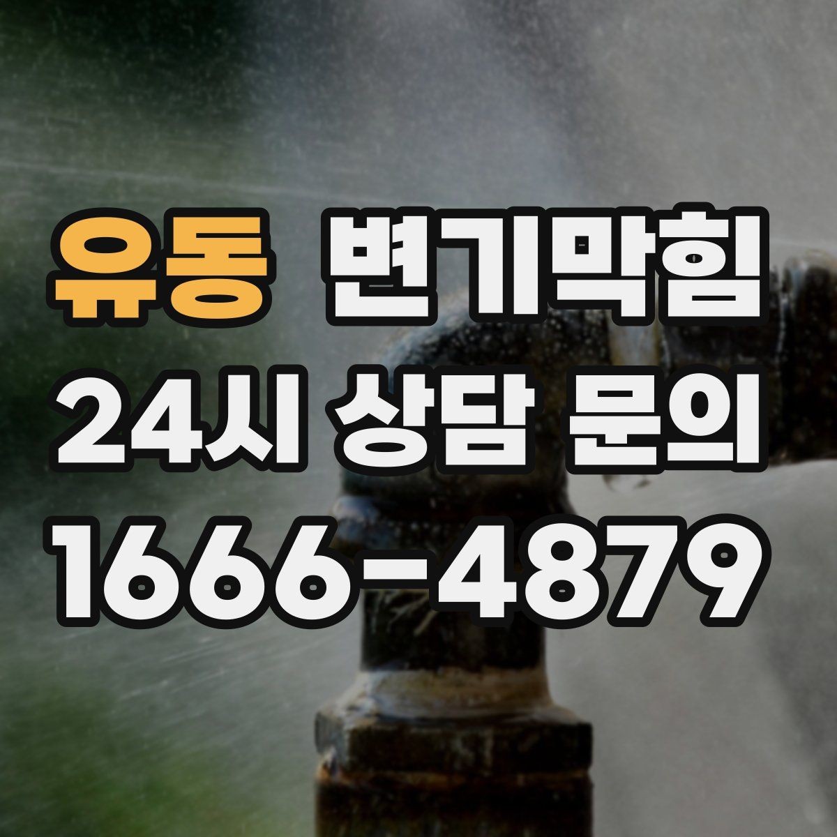 유동 변기막힘 상가 사진·수치 투명 공유