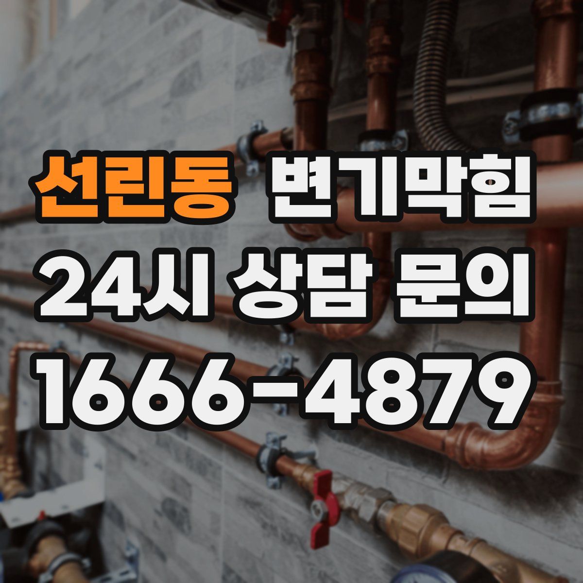 선린동 변기막힘