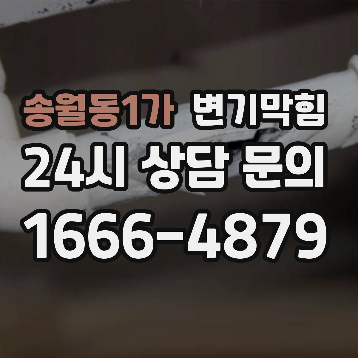 송월동1가 변기막힘