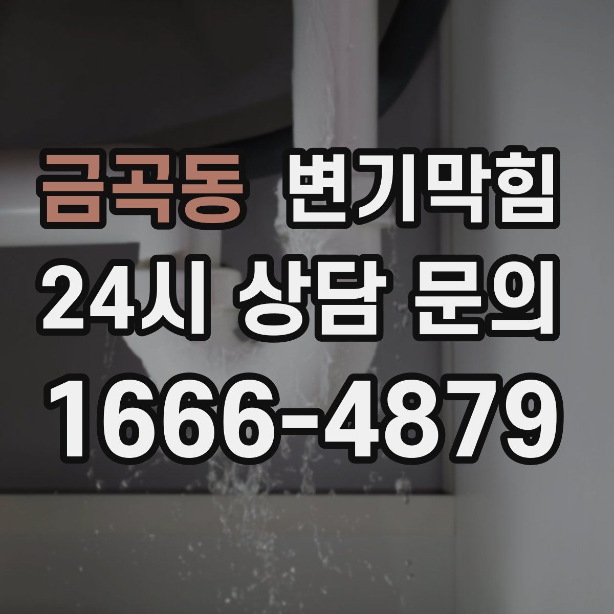 금곡동 변기막힘