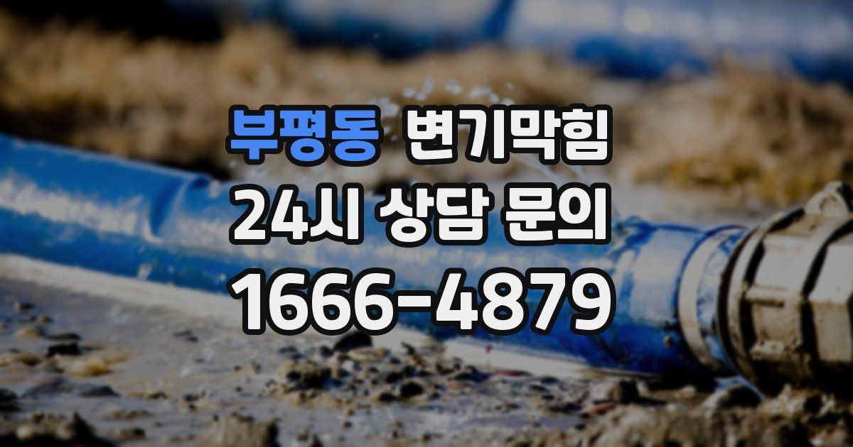 부평동 변기