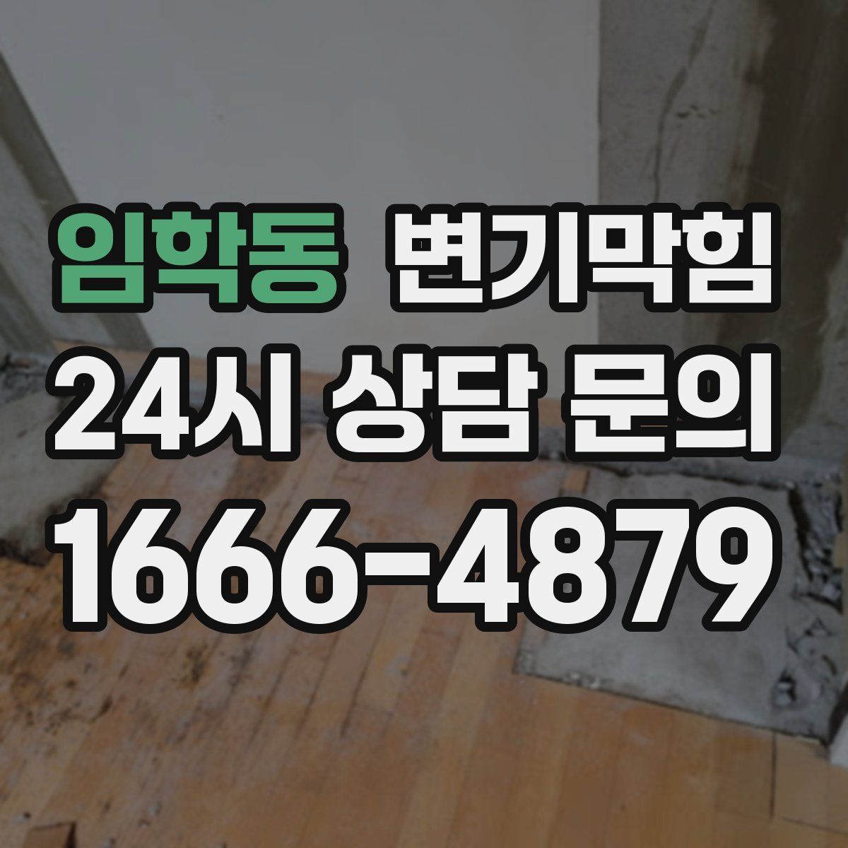 임학동 변기막힘