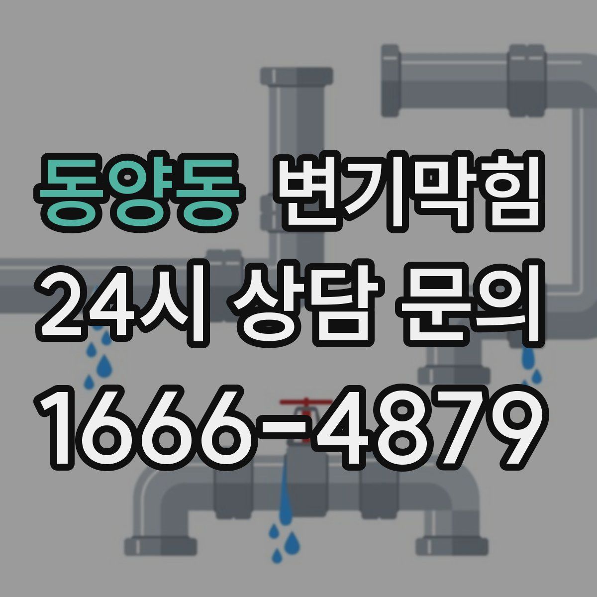 동양동 변기막힘