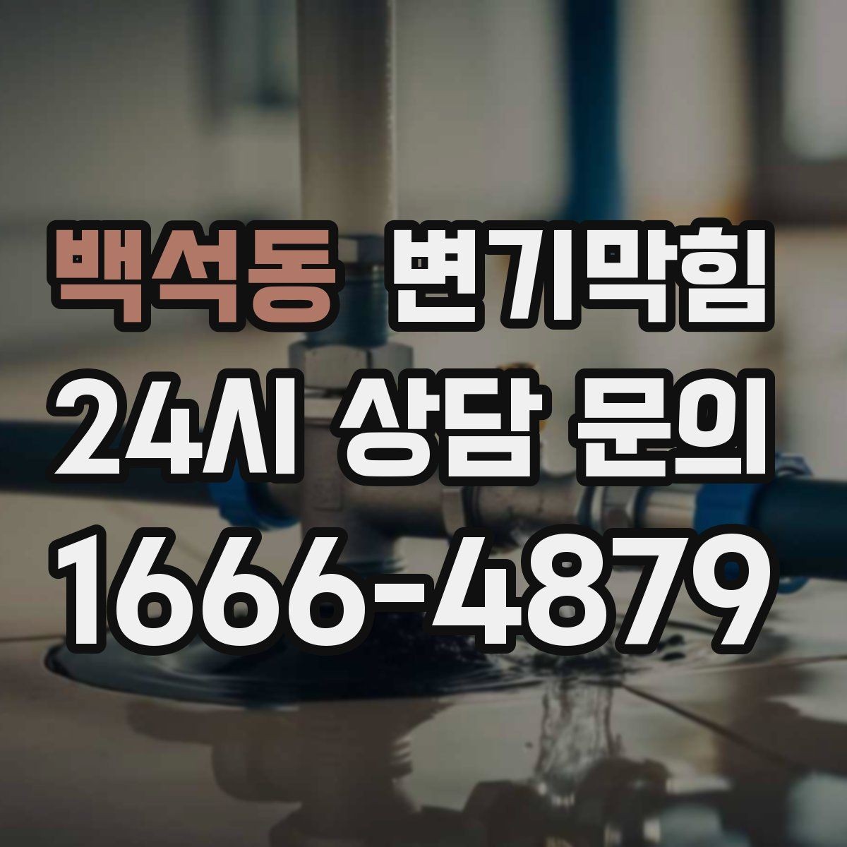 백석동 변기막힘 다가구 배수구막힘 공동 배관 최적화