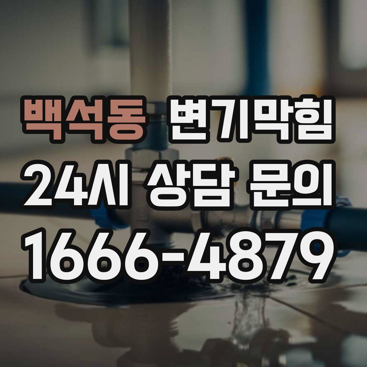 백석동 변기막힘