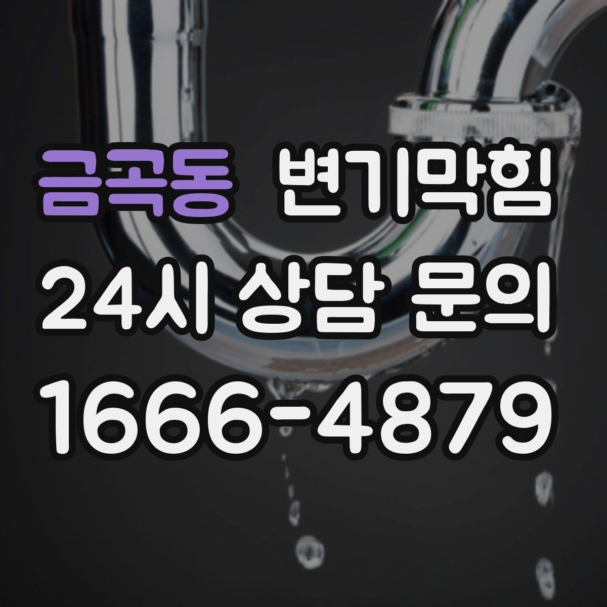 금곡동 변기막힘