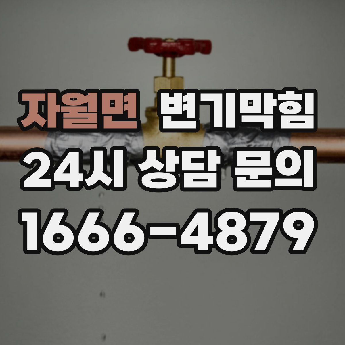 자월면 변기막힘