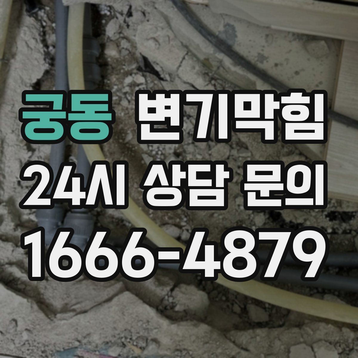 궁동 변기막힘 카페 화장실막힘 냄새 루트 차단