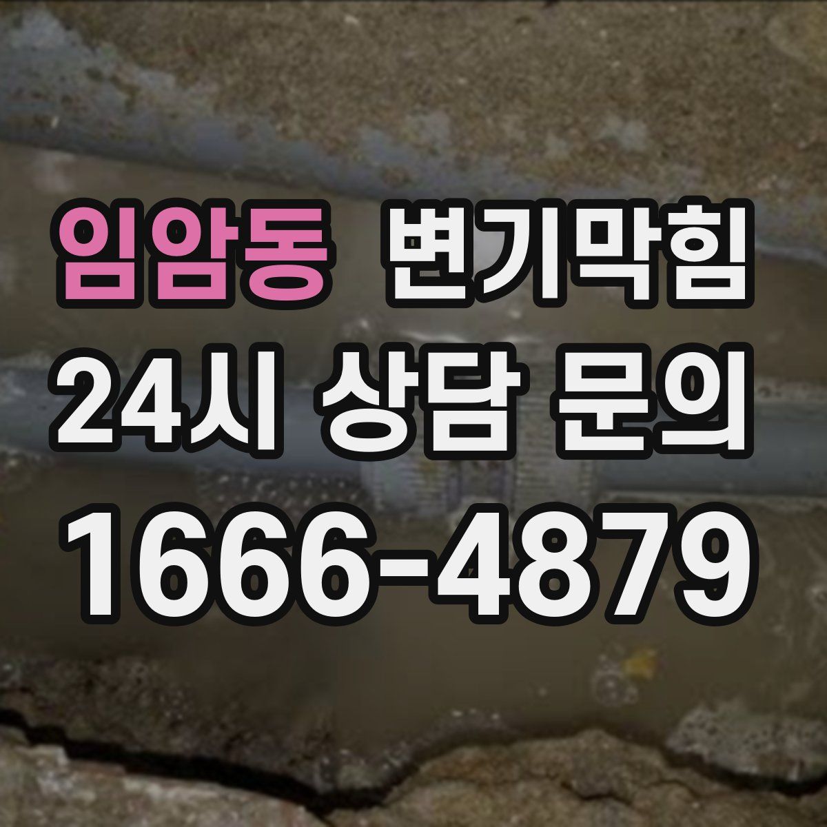 임암동 변기막힘