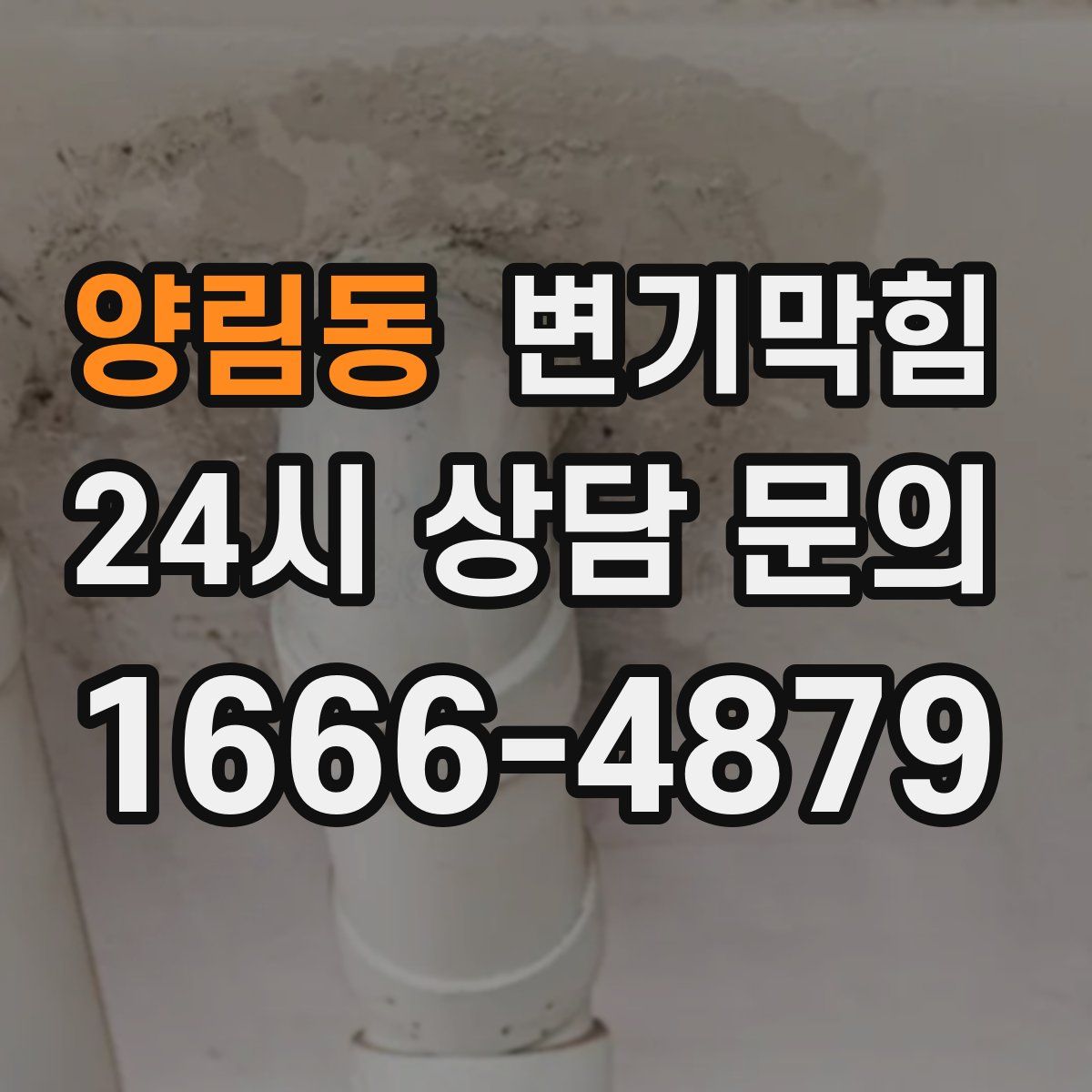 양림동 변기막힘