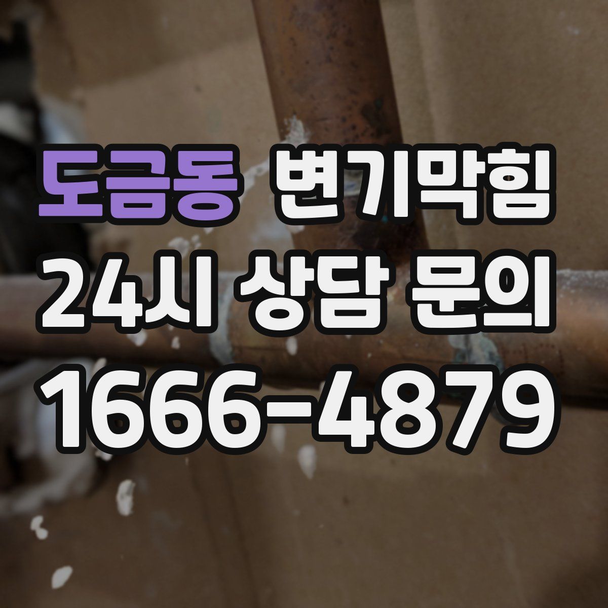 도금동 변기막힘