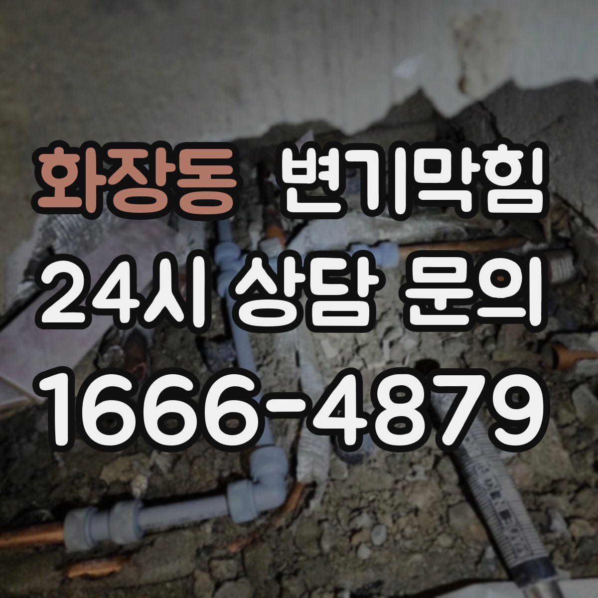 화장동 변기막힘