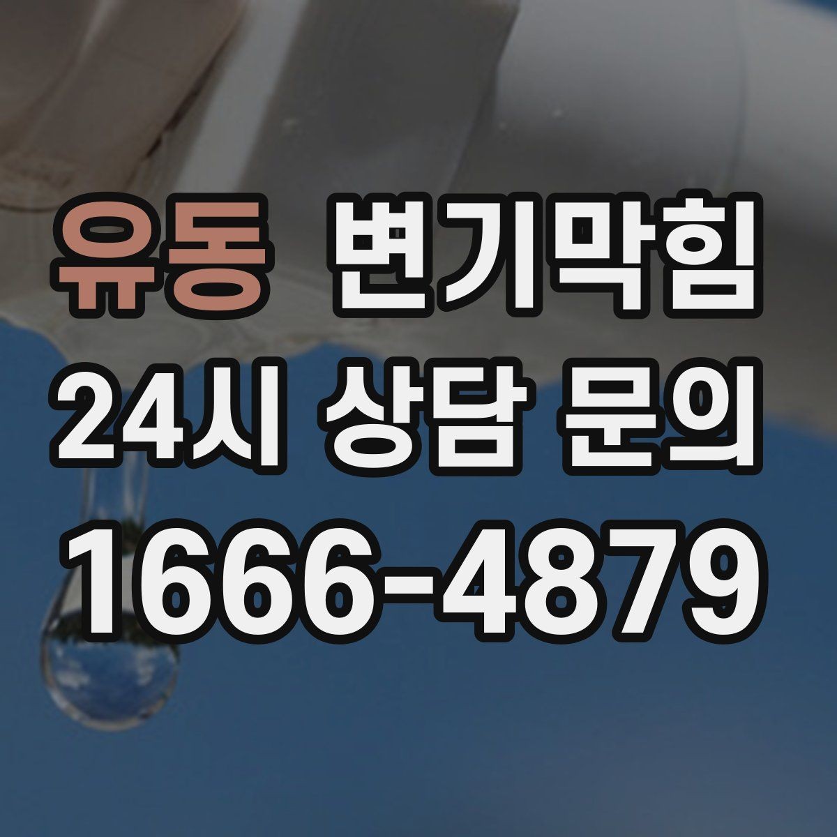 유동 변기막힘 빌라 배수구막힘 저층 역류 소거