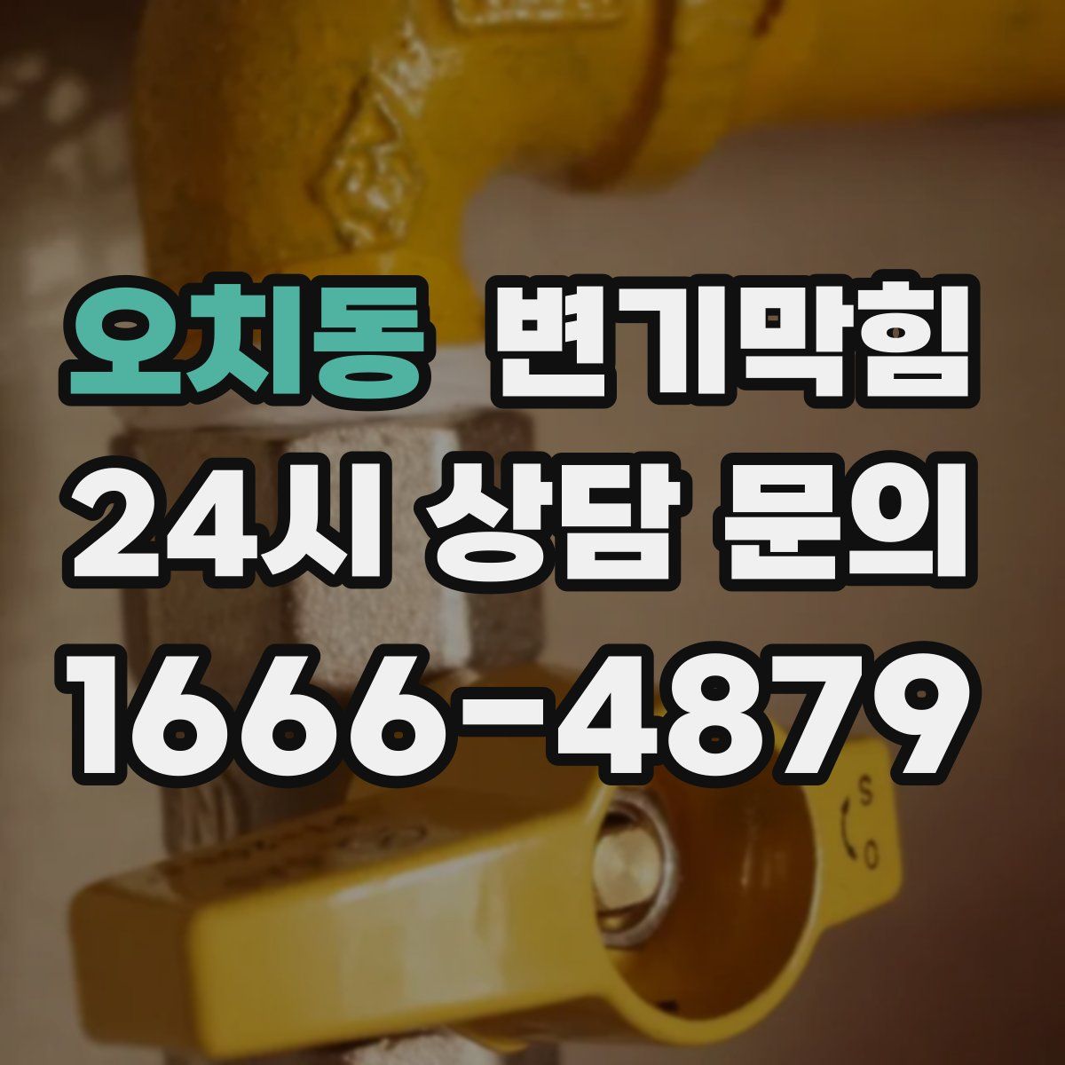 오치동 변기막힘