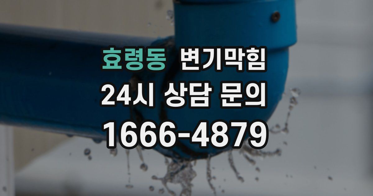 효령동 변기