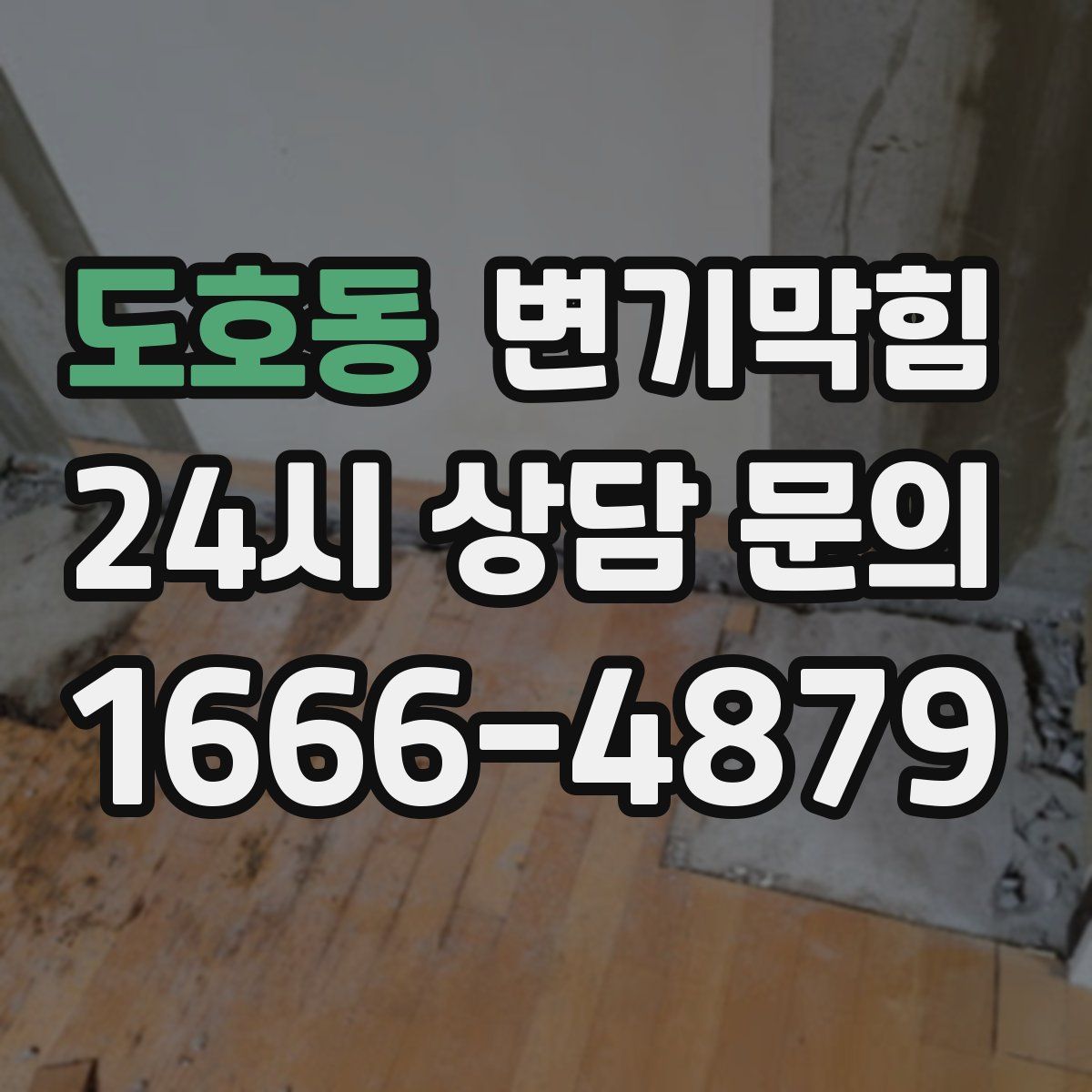 도호동 변기막힘