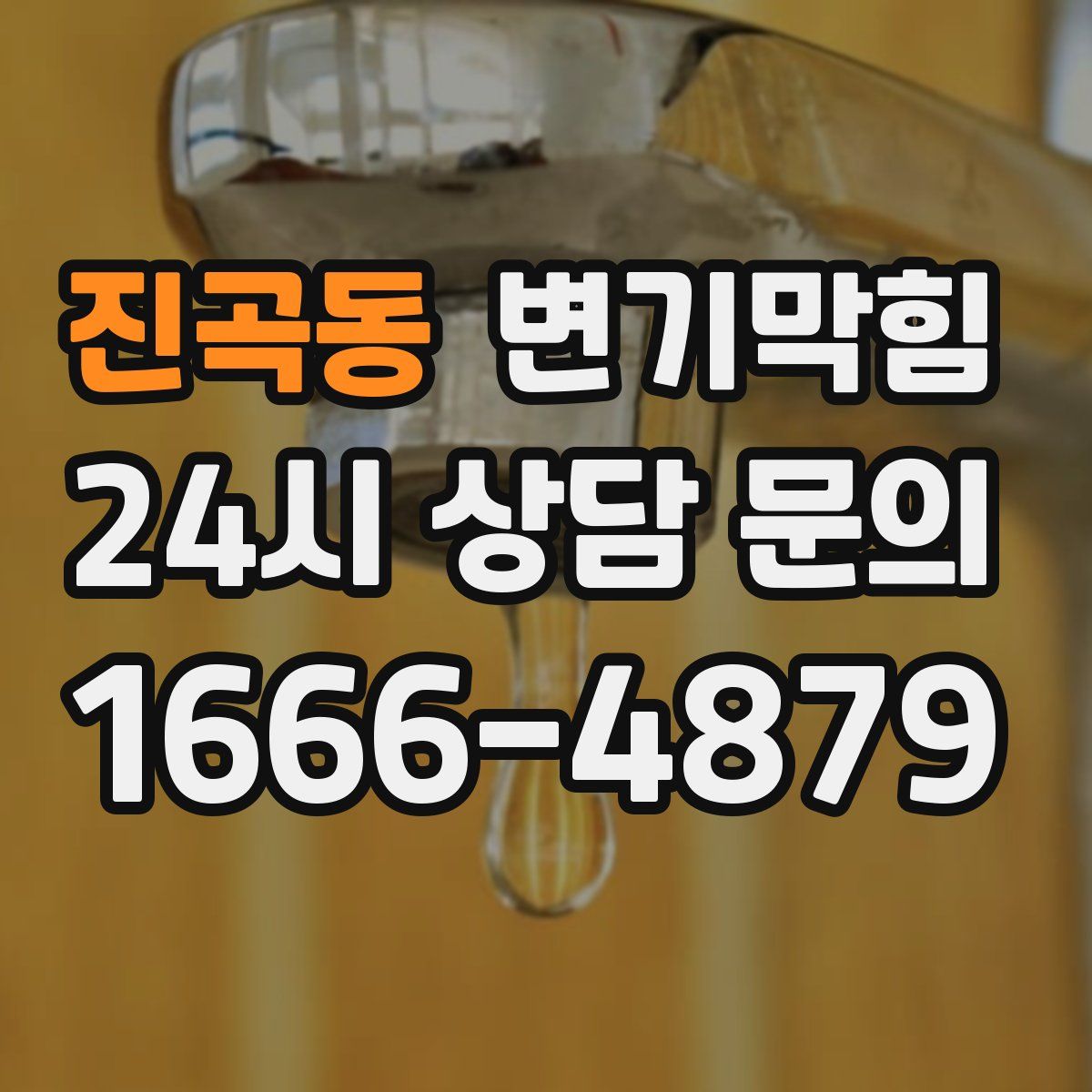 진곡동 변기막힘