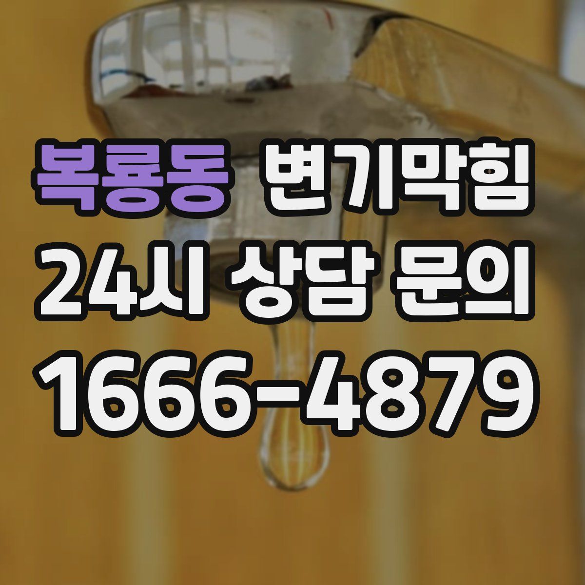 복룡동 변기막힘