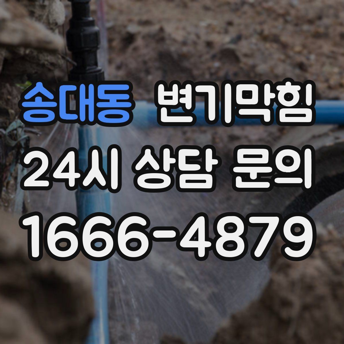 송대동 변기막힘 카페 화장실역류 저녁 손님 전 마감