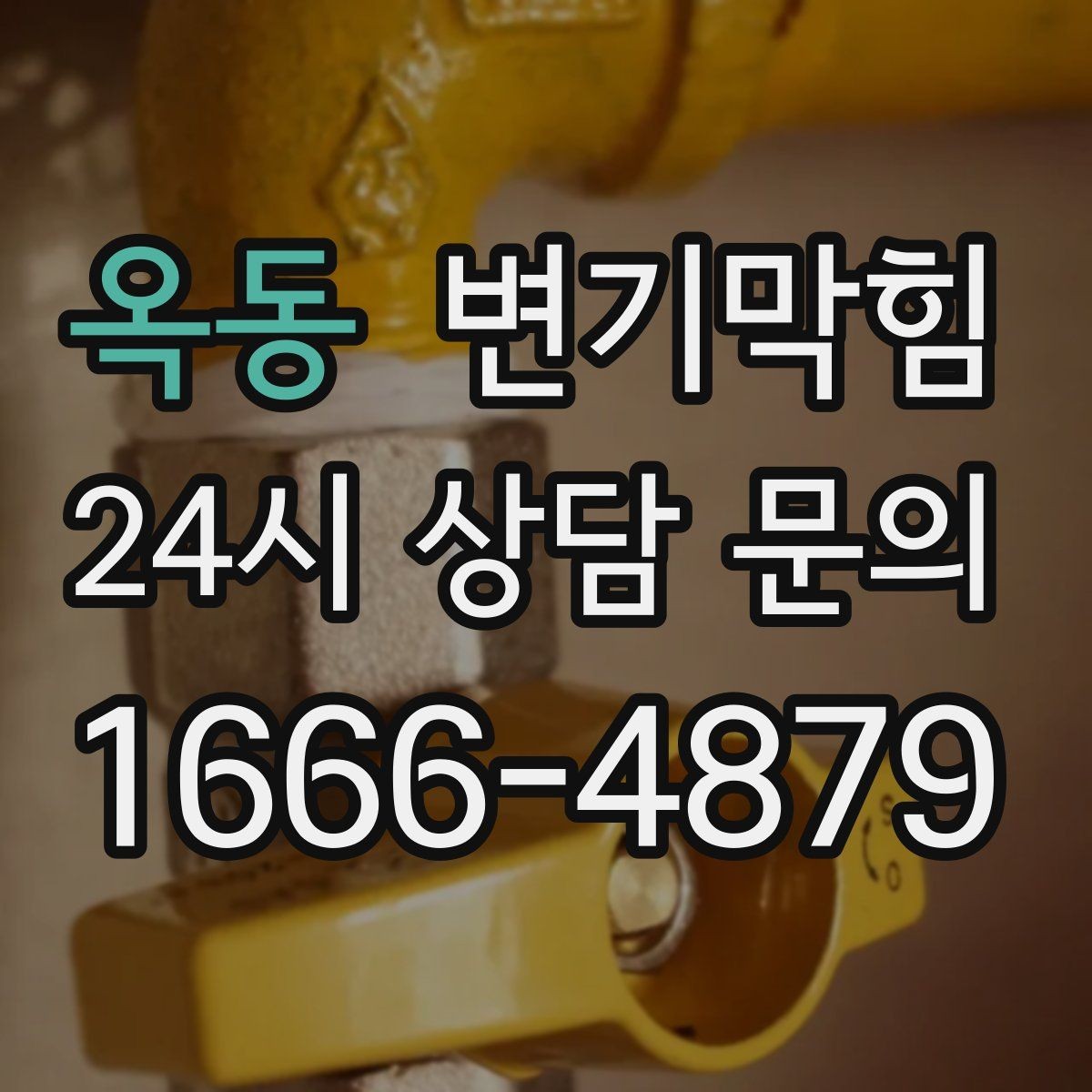옥동 변기막힘 변기 물이 안 찰 때 탱크 내부 간단 청소