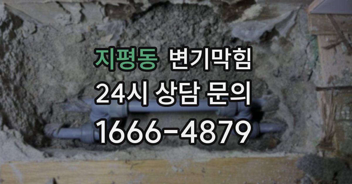 지평동 변기