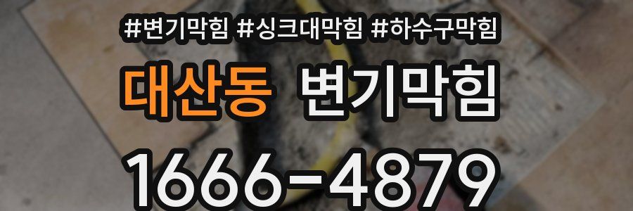 변기막힘