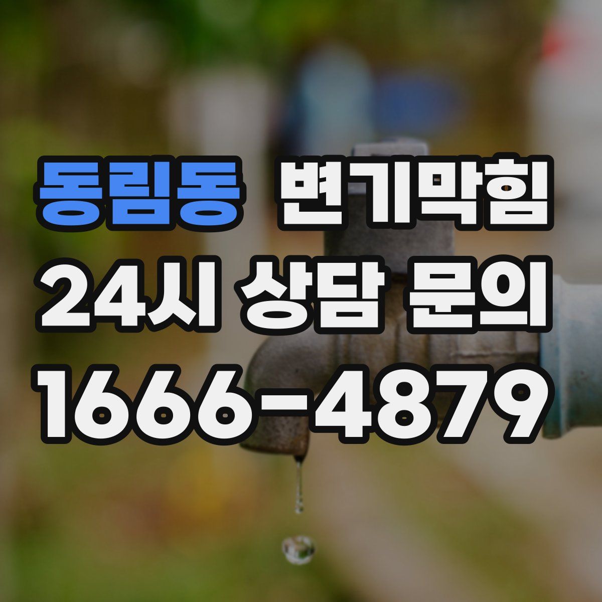 동림동 변기막힘