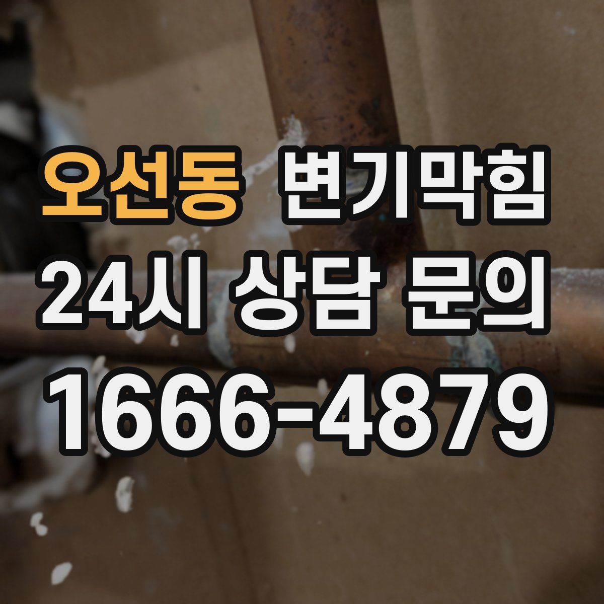 오선동 변기막힘