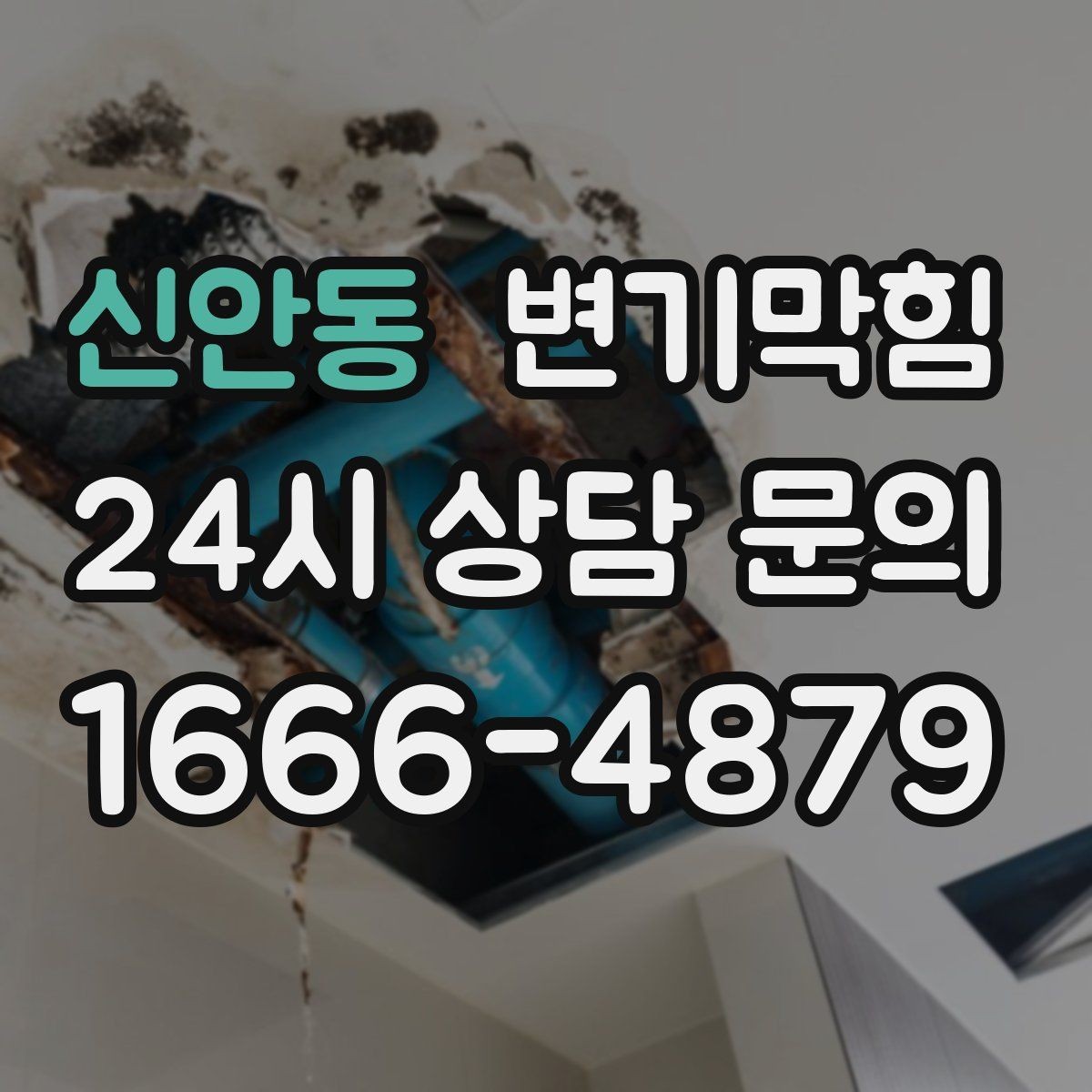신안동 변기막힘 단독 주택 배수구막힘 미세 누출 차단