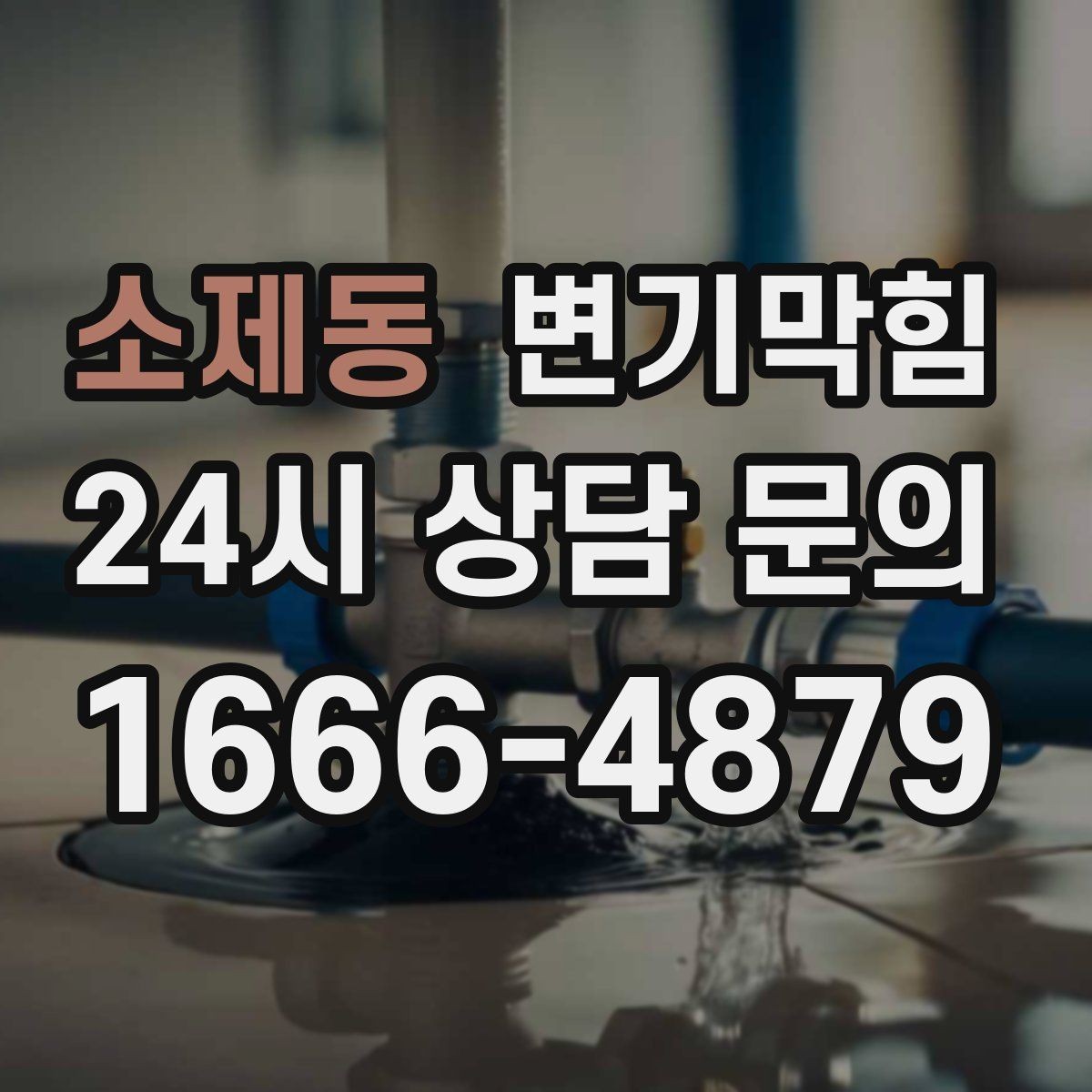 소제동 변기막힘 카페 화장실역류 향 보존 복구기