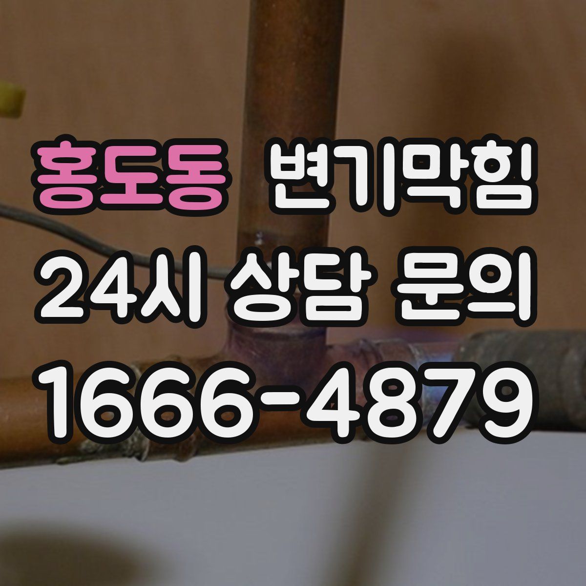 홍도동 변기막힘