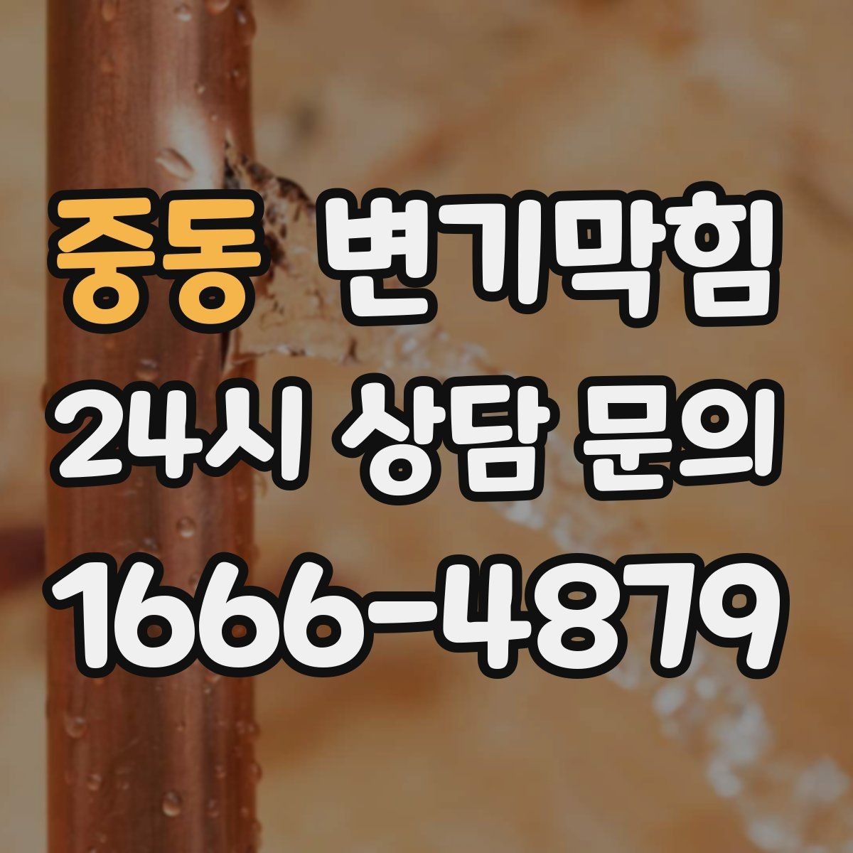 중동 변기막힘 변기물이안찰때 배수 소리로 점검