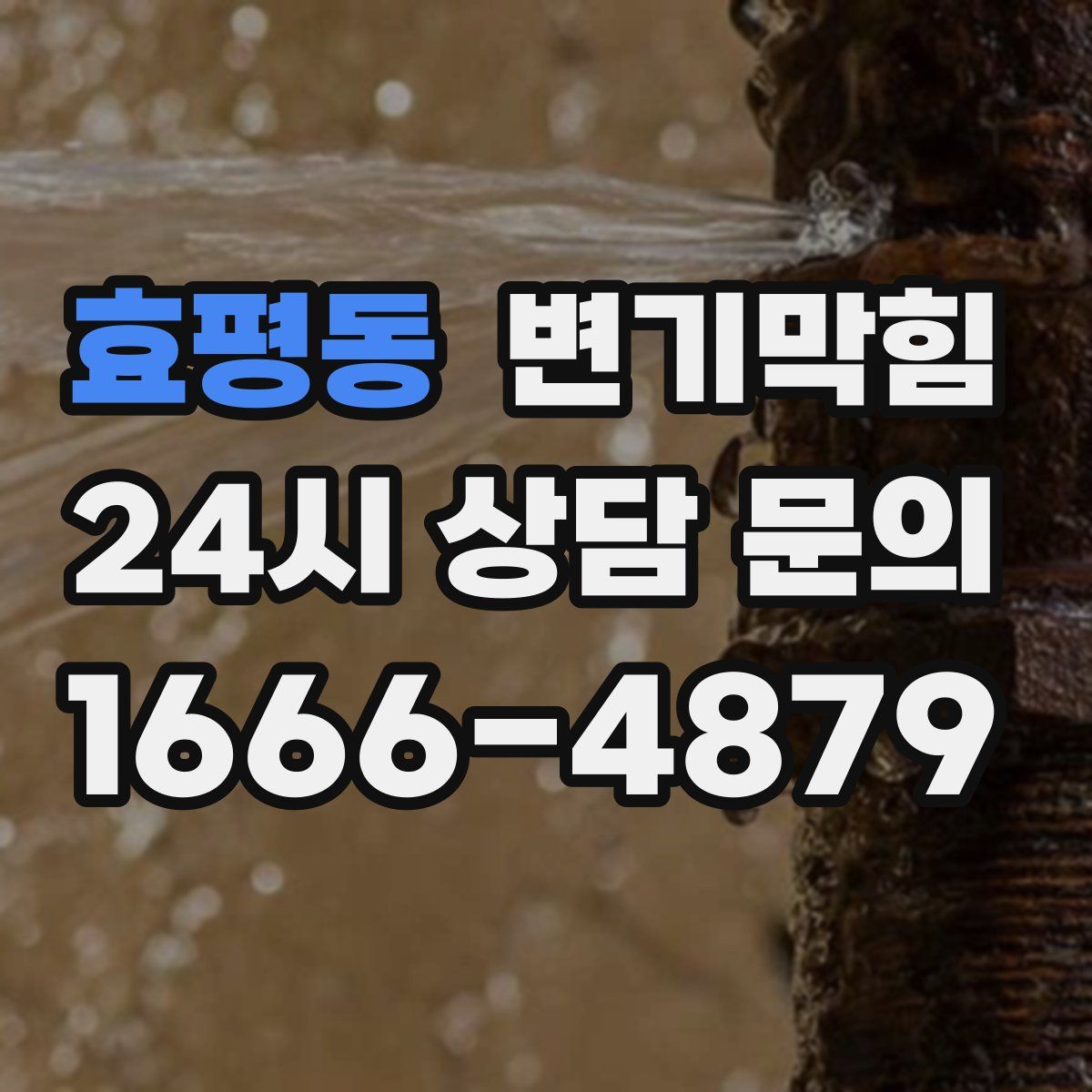 효평동 변기막힘