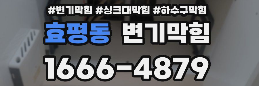 변기막힘