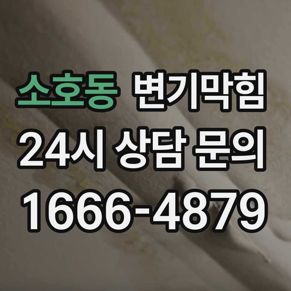 소호동 변기막힘