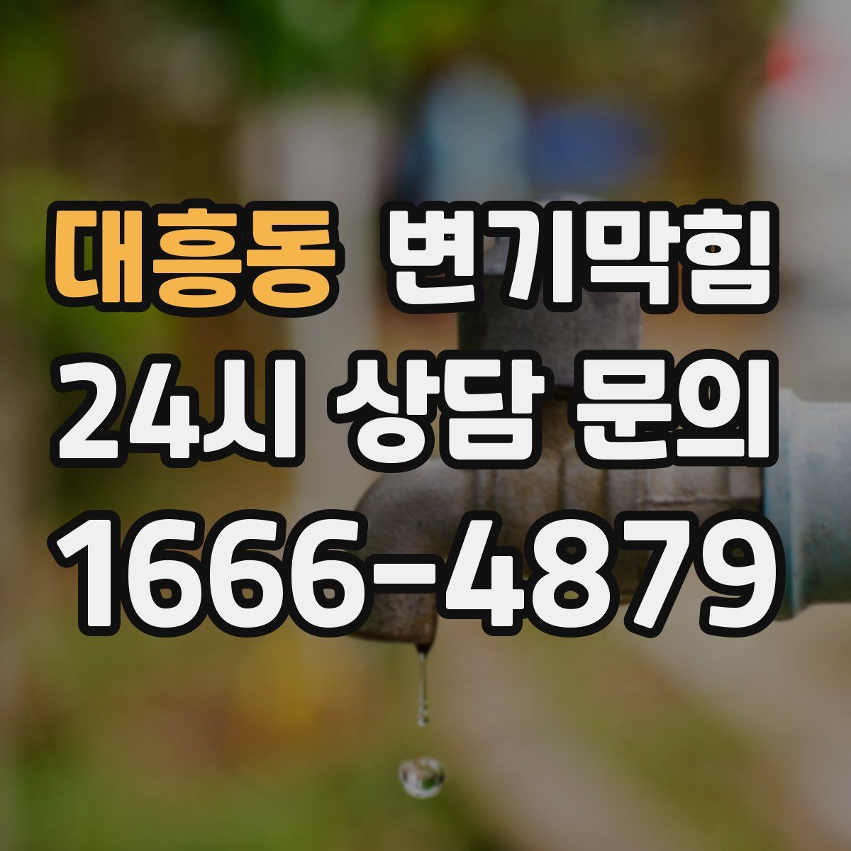 대흥동 변기막힘