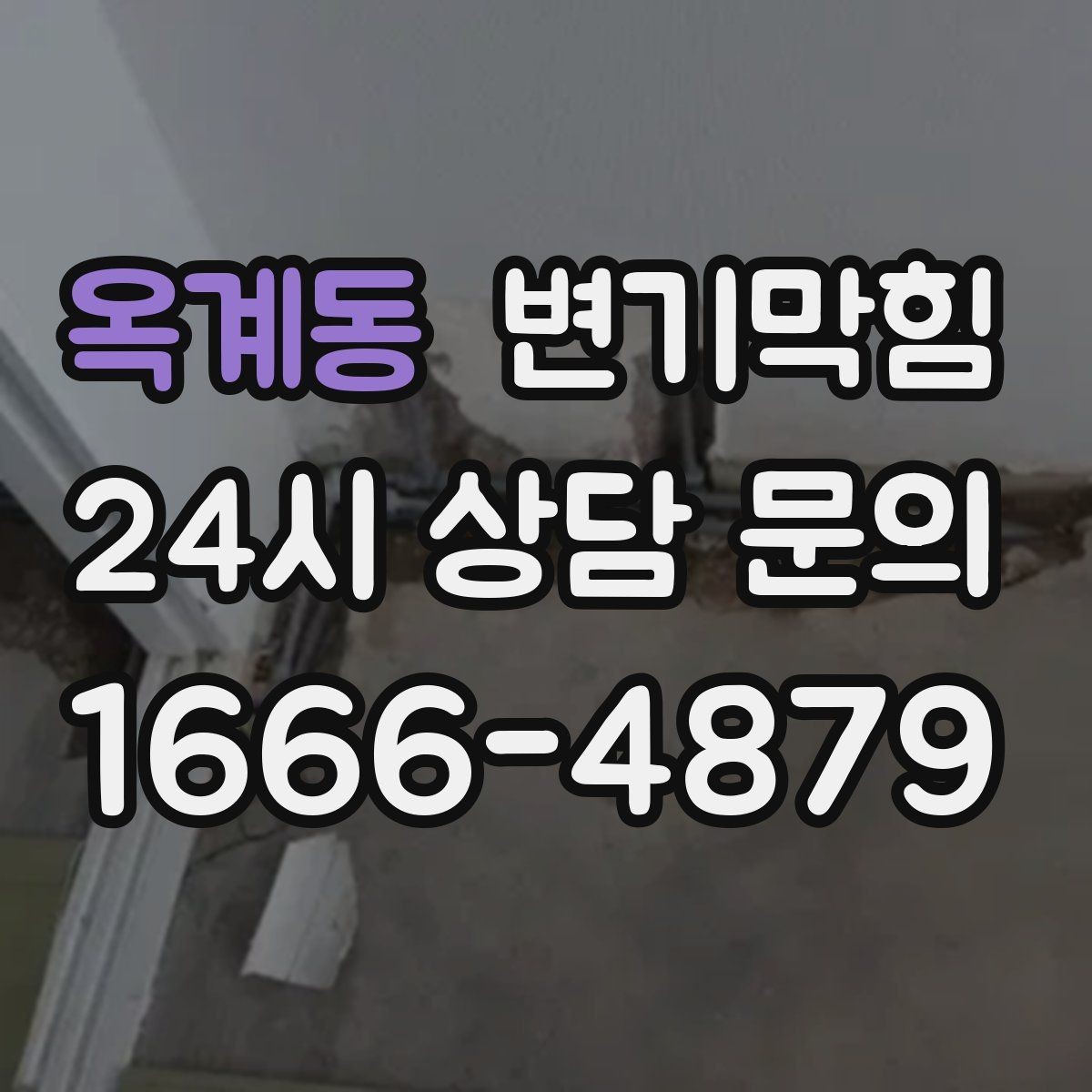 옥계동 변기막힘 사무실 화장실역류 환기팬 역류 해결