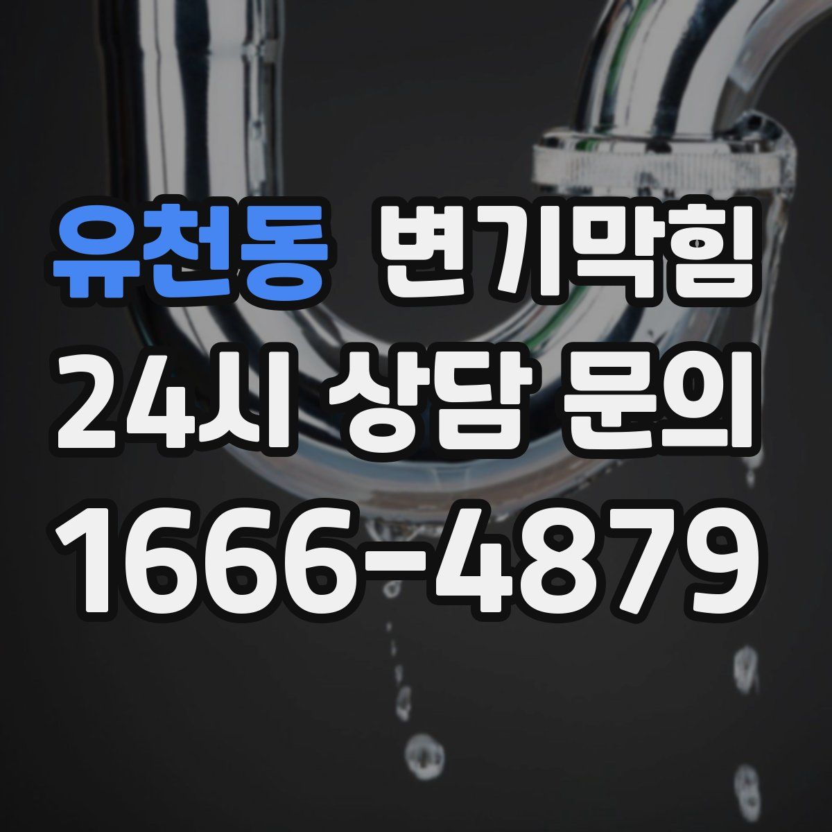 유천동 변기막힘