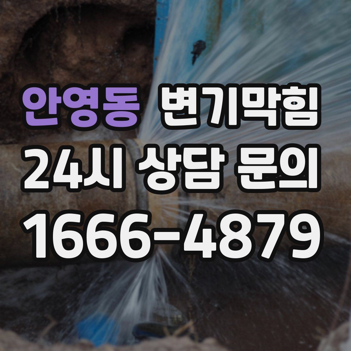 안영동 변기막힘 식당 화장실역류 피크 타임 대응