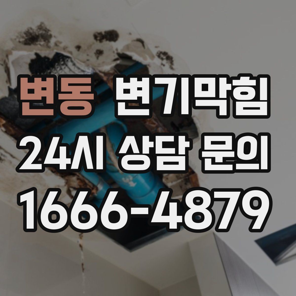변동 변기막힘 사무실 화장실역류 환기팬 역류 해결