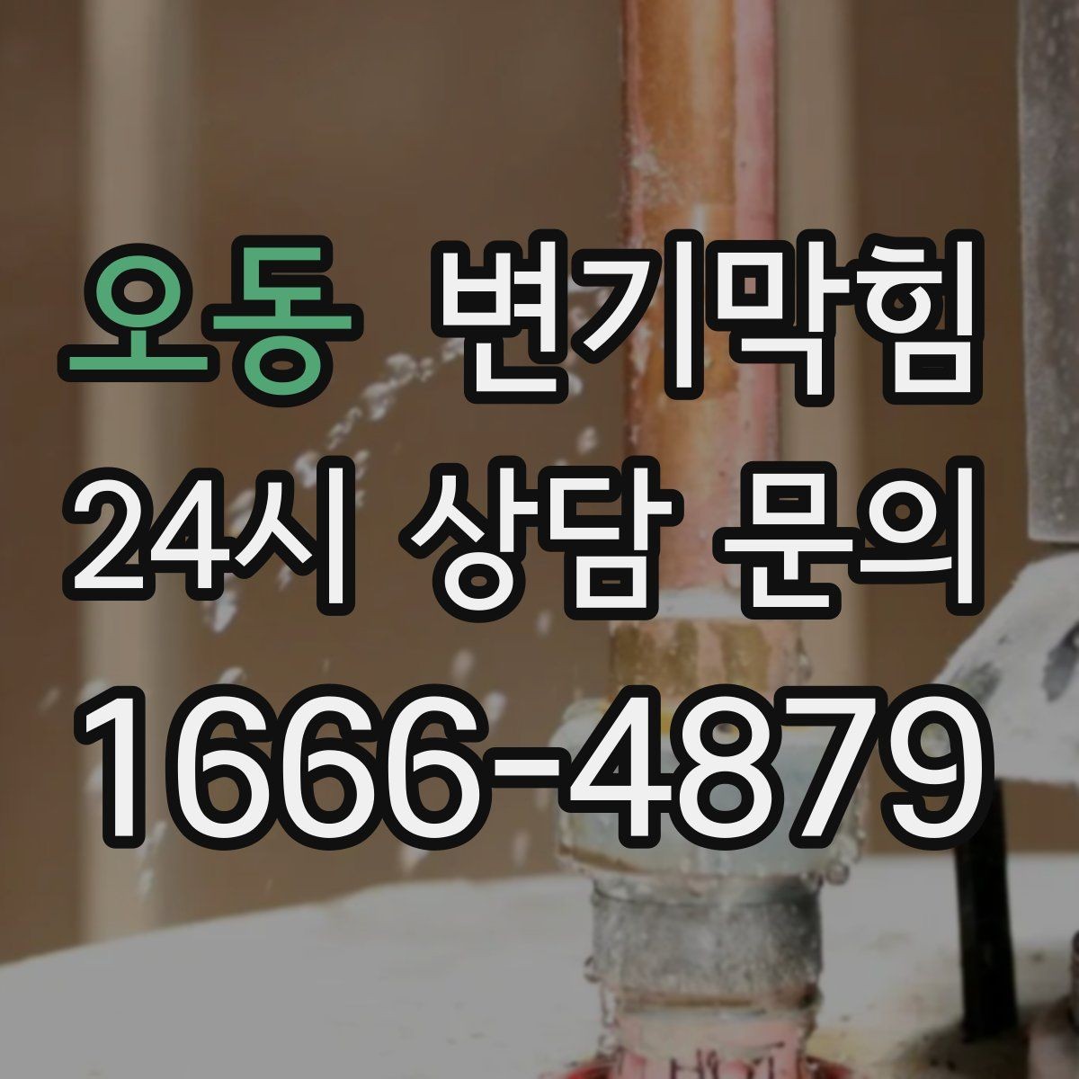 오동 변기막힘 변기물이안찰때 냄새만 심할 때