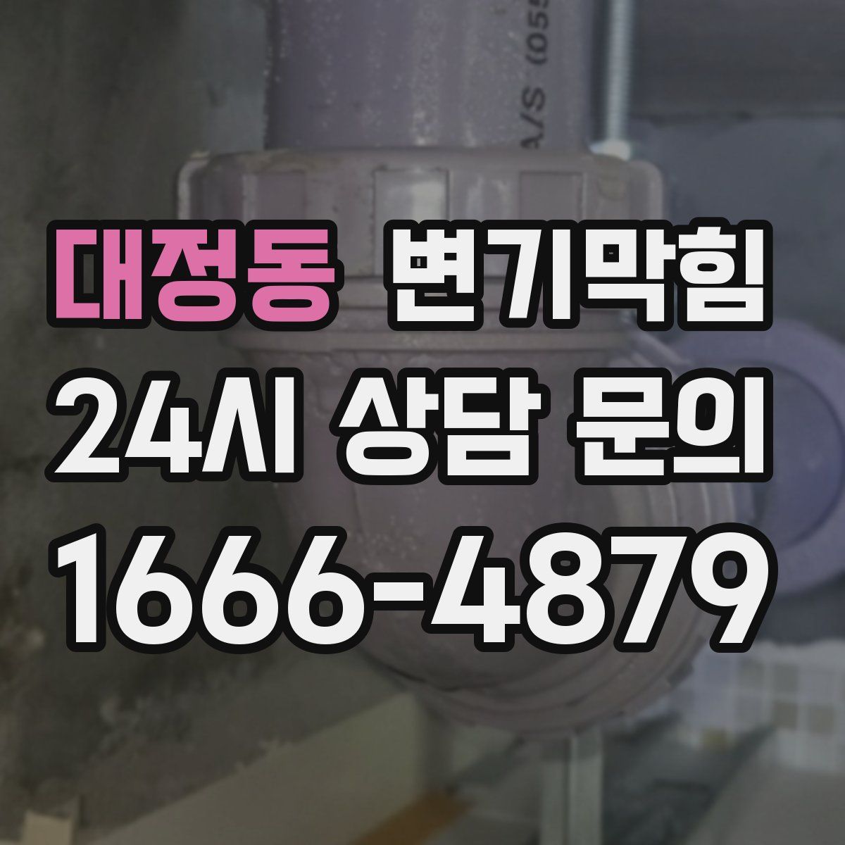 대정동 변기막힘