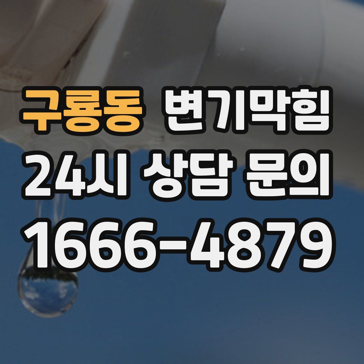 구룡동 변기막힘