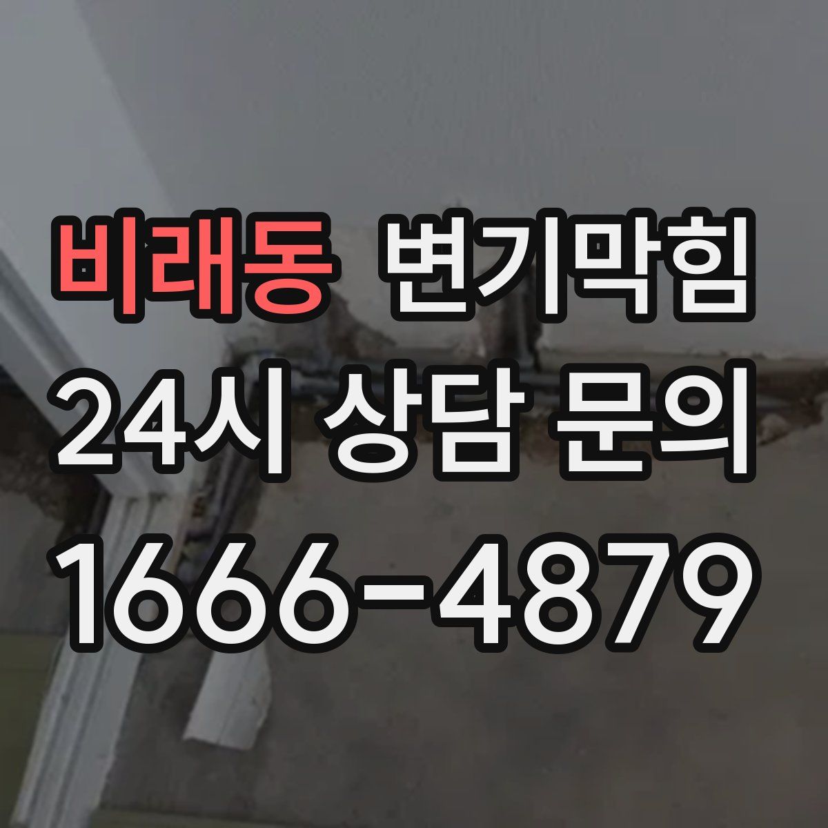 비래동 변기막힘